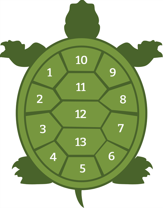 turtle calendar