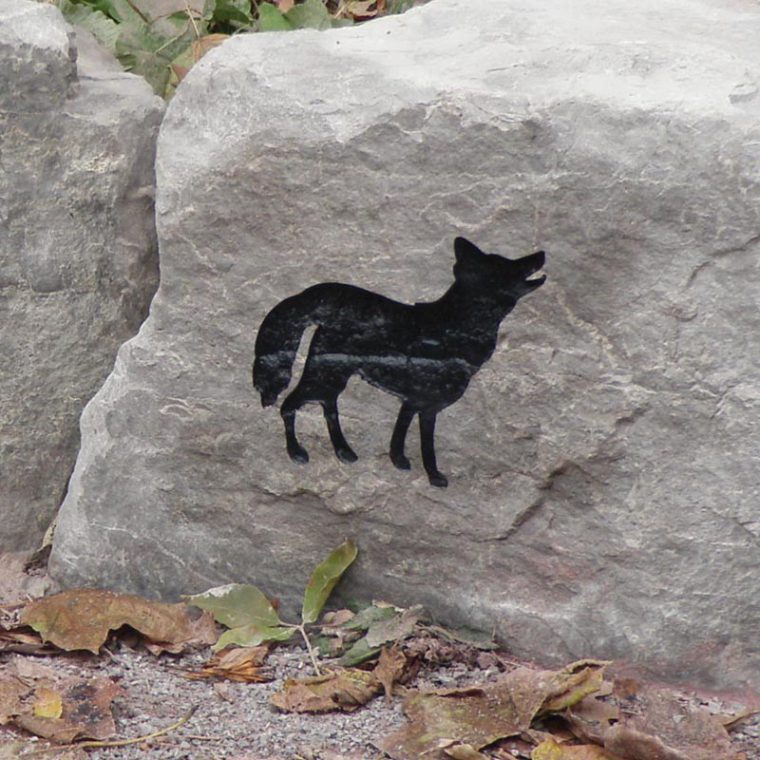 Yänariskwa’ – Wolf